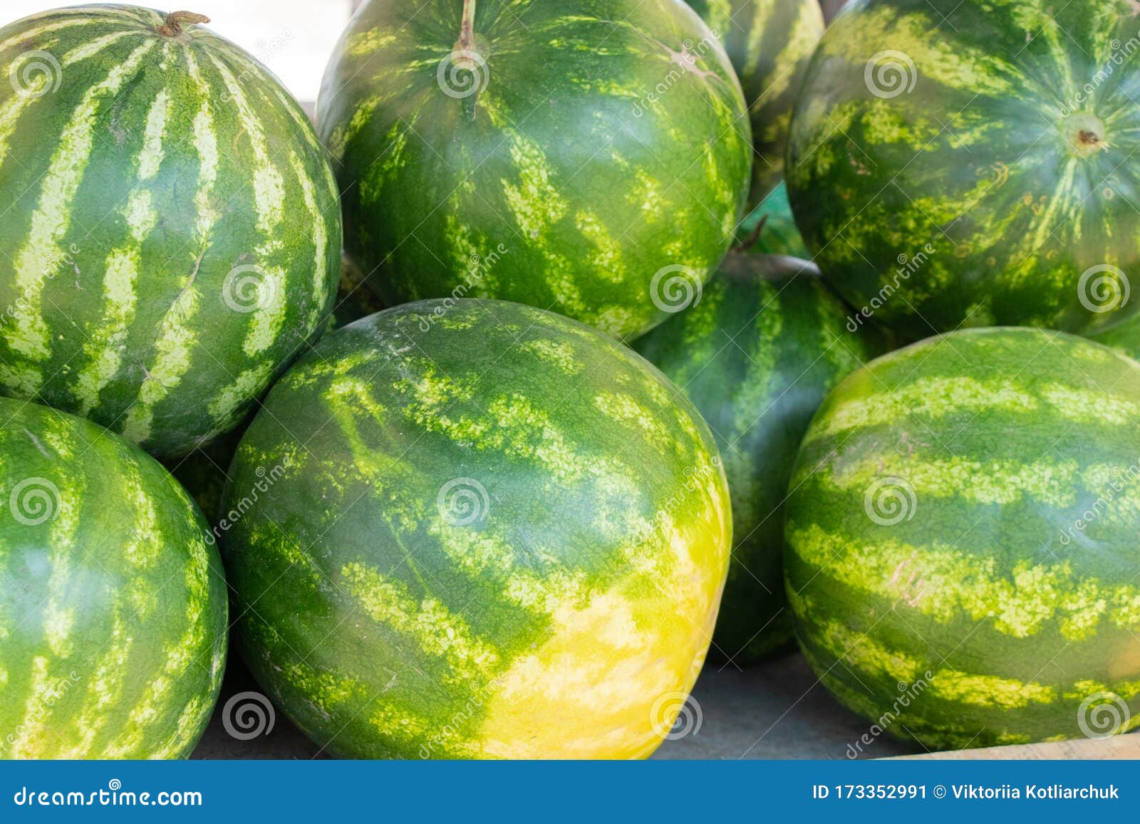 Watermelons at the Market on a Sunny Summer Day Stock Image Image of