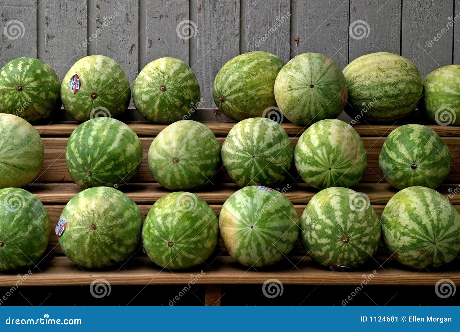 Watermelons for sale stock image. Image of watermelon 1124681