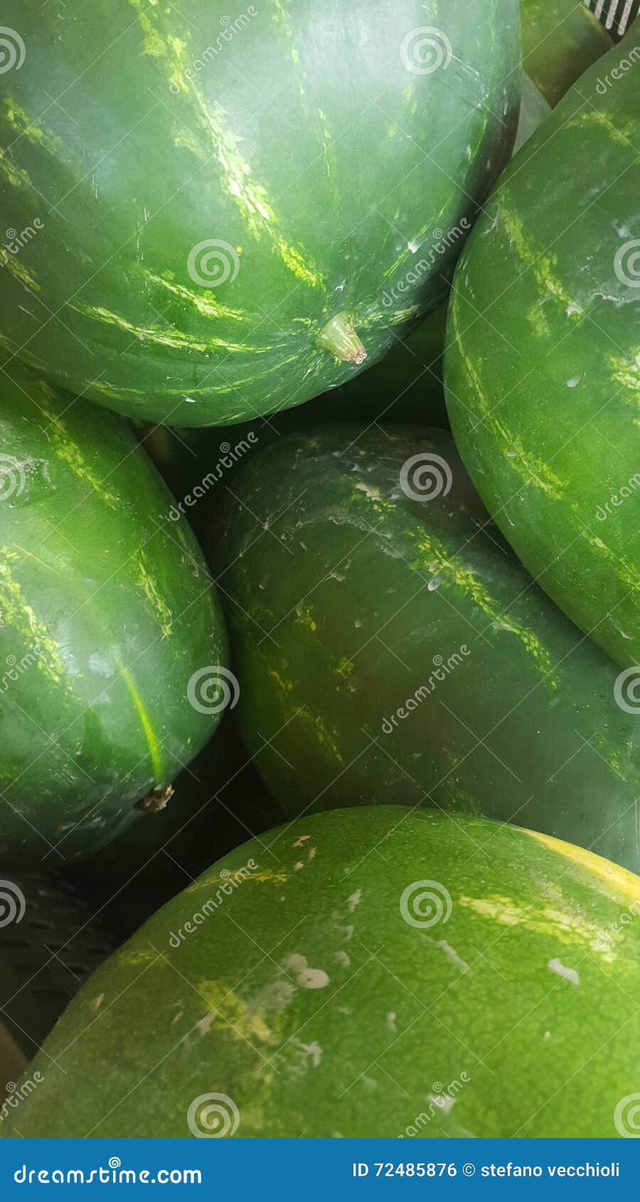 Watermelons stock photo. Image of frutta, seasonal, estate 72485876
