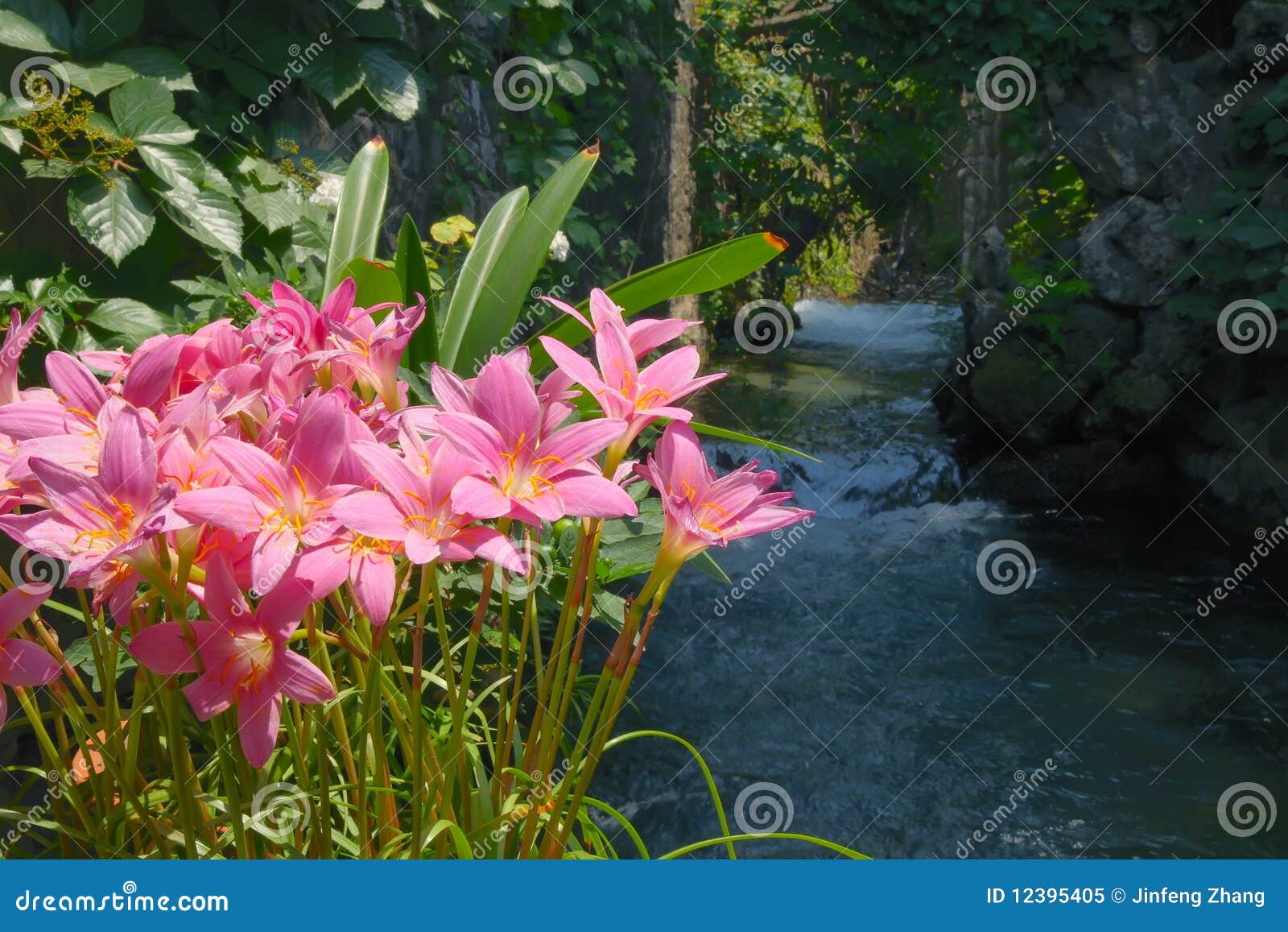 waterside flowers