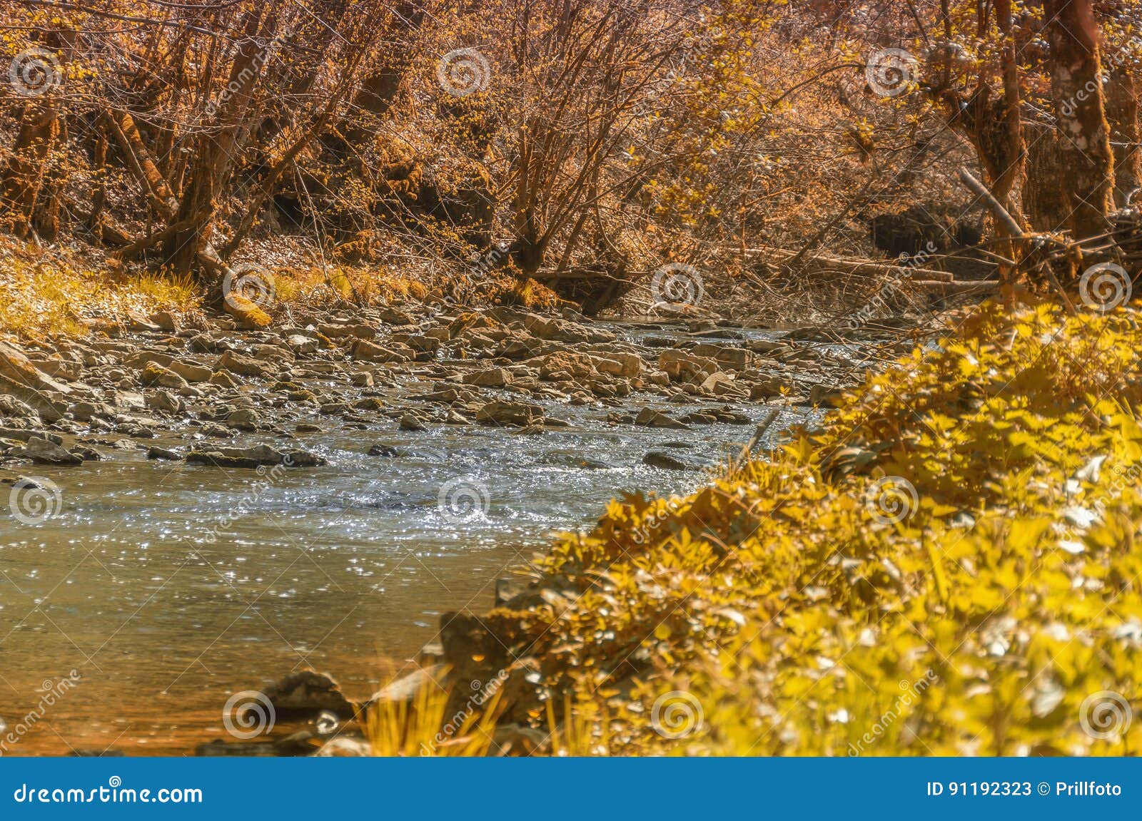 Waterside Indian Summer Scenery Stock Image - Image of peaceful