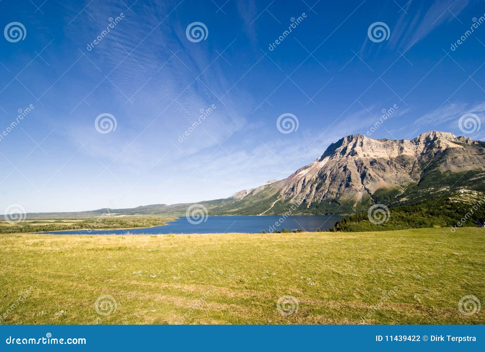 Waterton Lakes National Park Mountains Stock Photo Image of wetlands