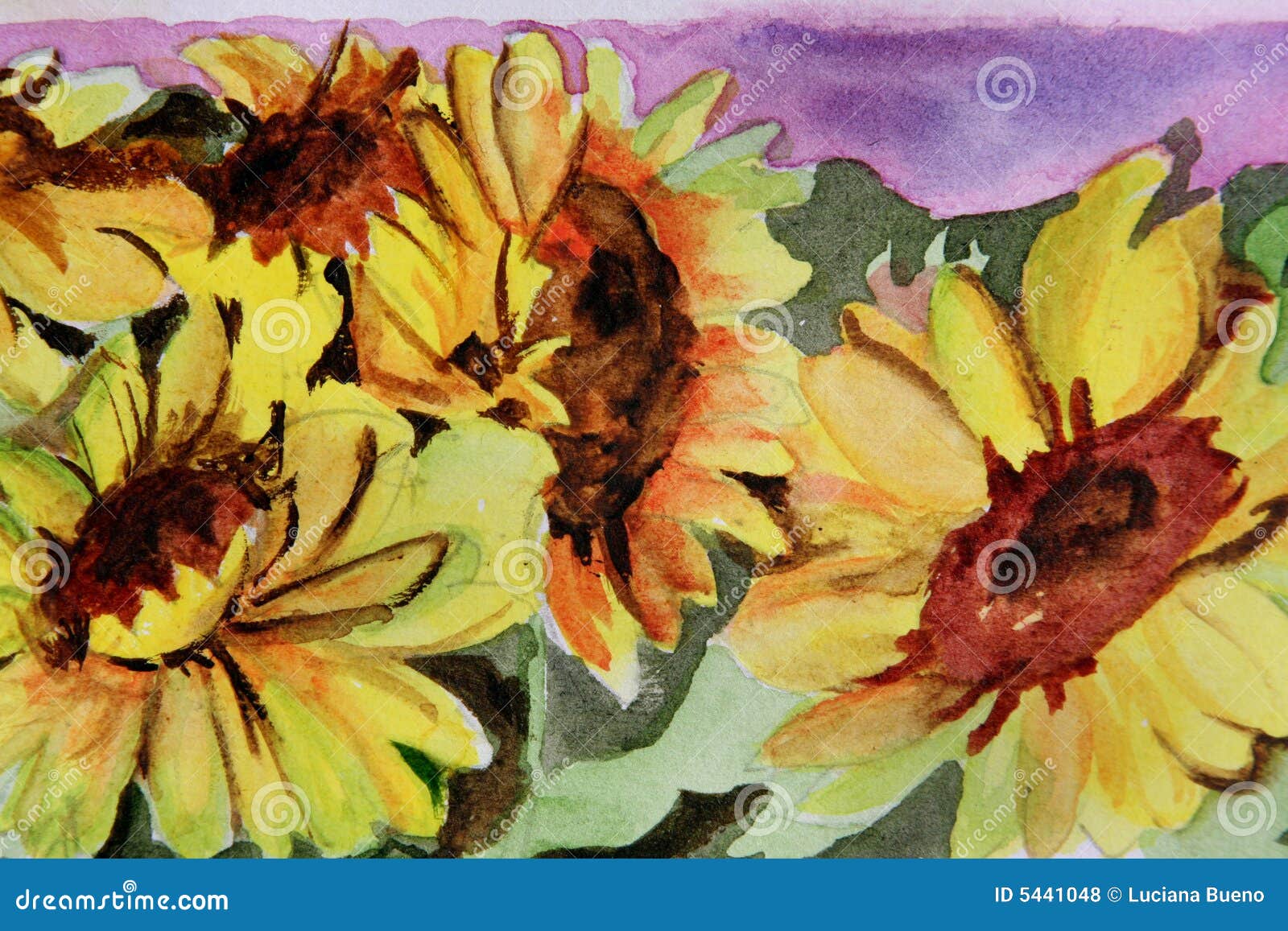 Waterverf bloemen - zonnebloem. De geschilderde waterverf bloemen, wordt kunst geschilderd door fotograaf