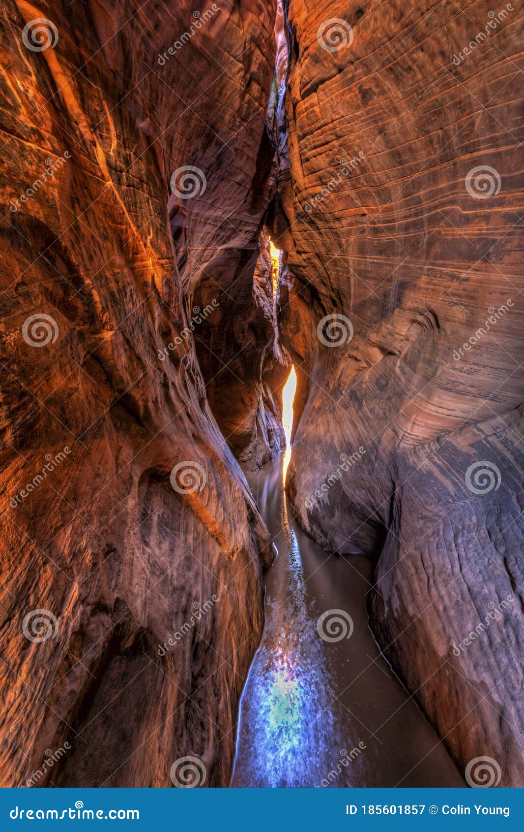 Canyon Canyon