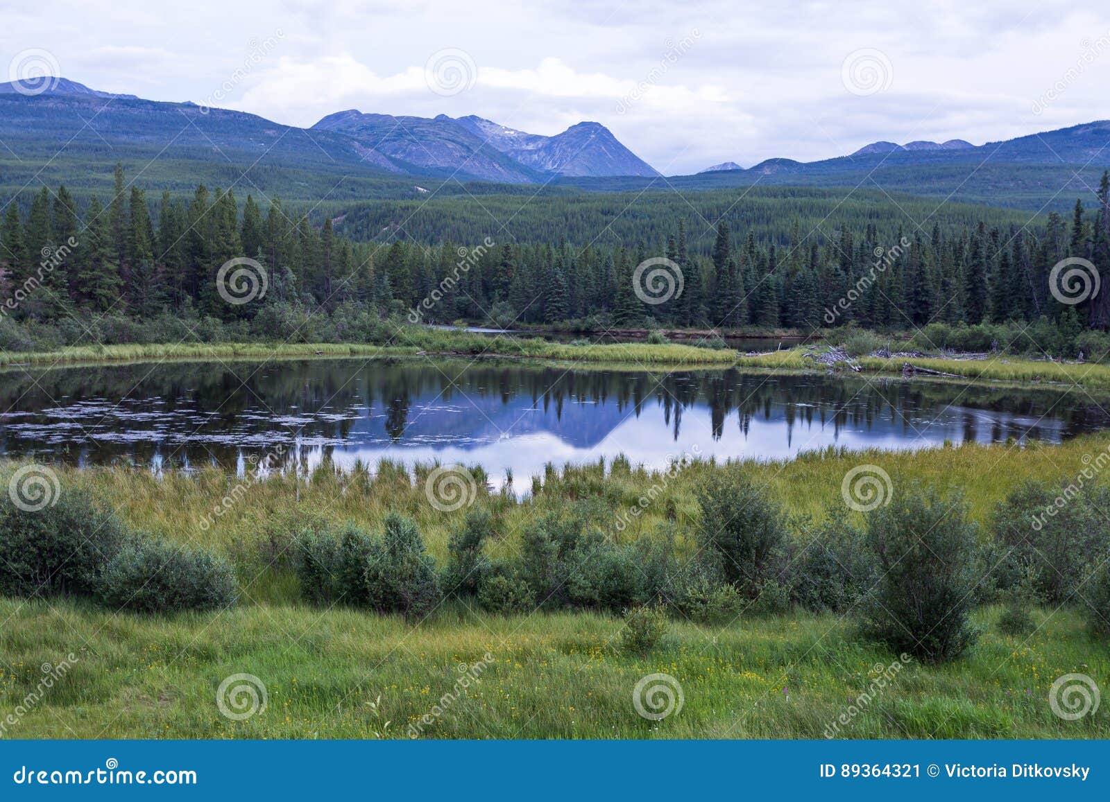 Watson lake stock image. Image of water, summer, reflection 89364321