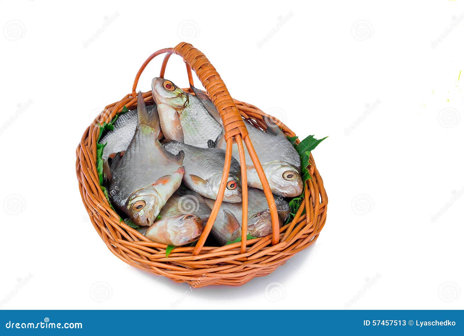 Wattled Basket with Hooked Fish on a White Background. Stock Image
