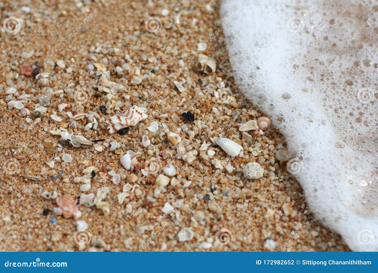Wave Bubble with Little Shells on the Sand Beach Stock Photo Image of