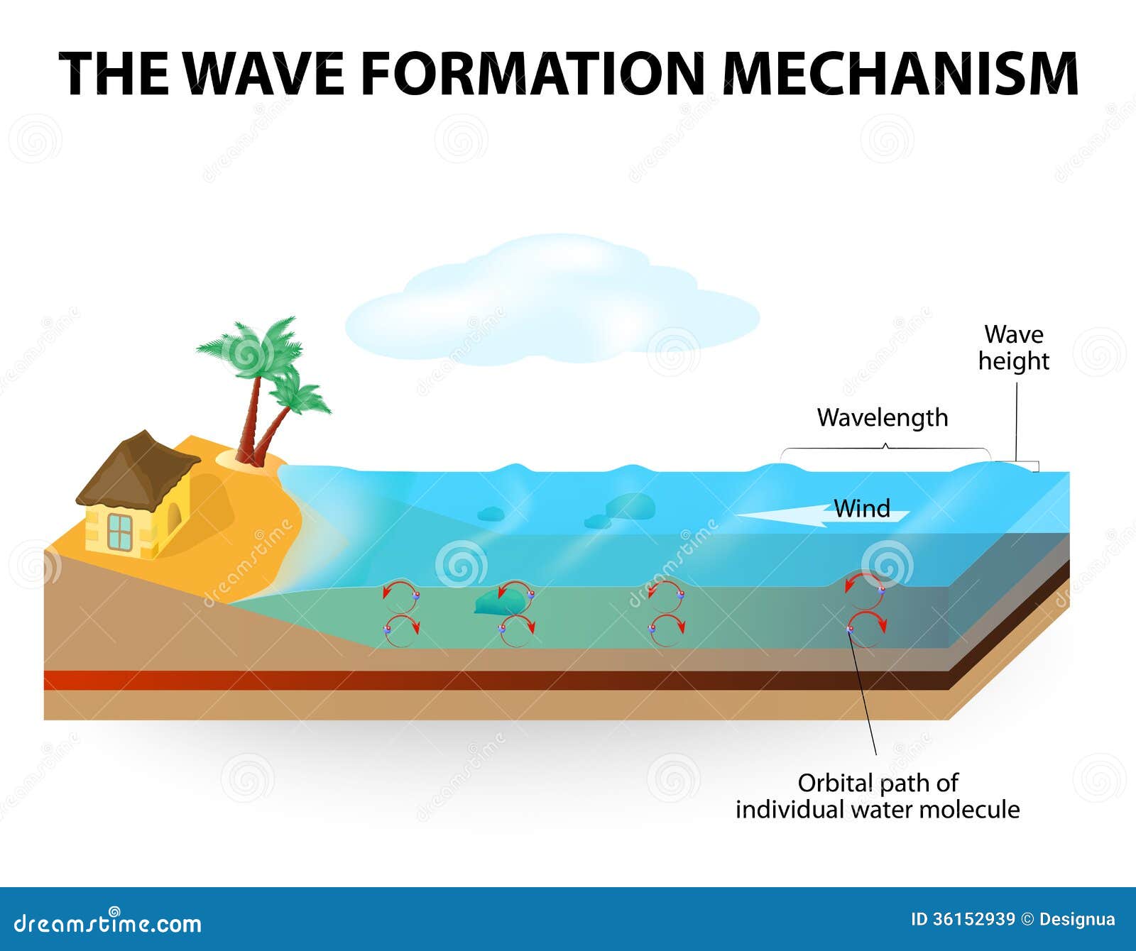 Image result for how does a wave formed