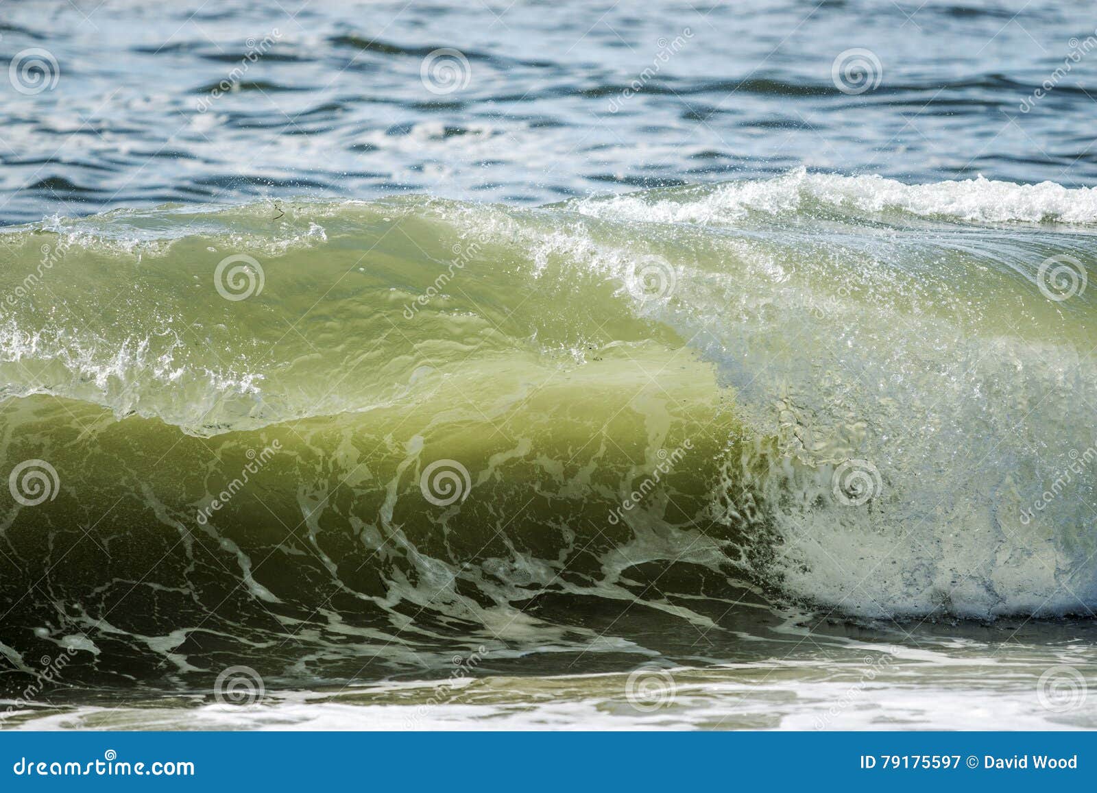 Wave with a nice curl stock image. Image of beautiful - 79175597