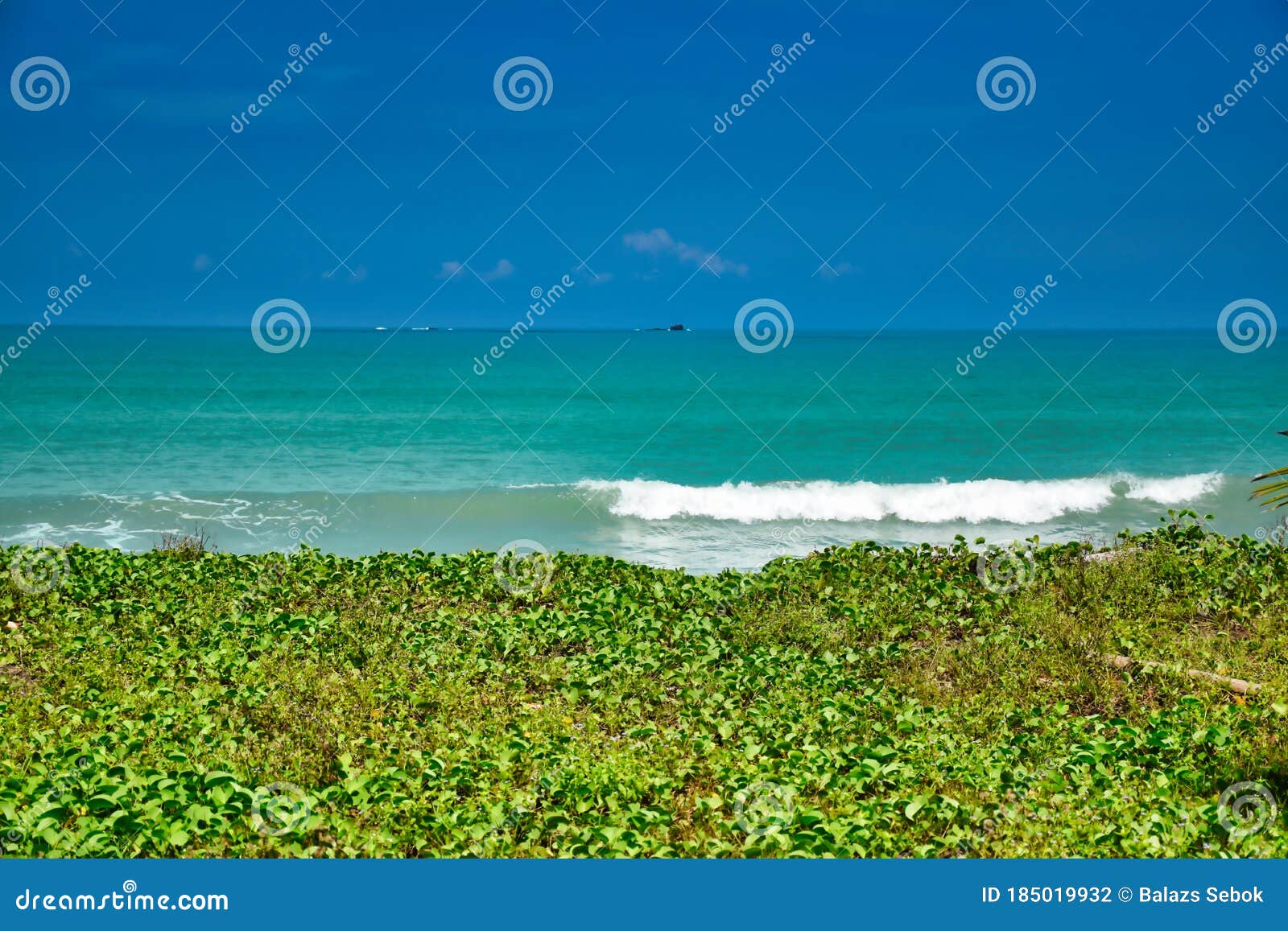 waves of the azure andaman sea under the blue sky reaching the shores of the sandy beautiful exotic and stunning cenang beach in