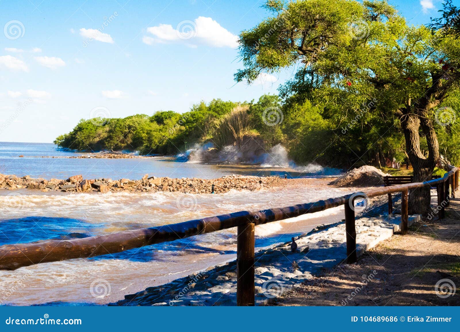 waves crashing on the shore, coast of puerto madero ecological reserve