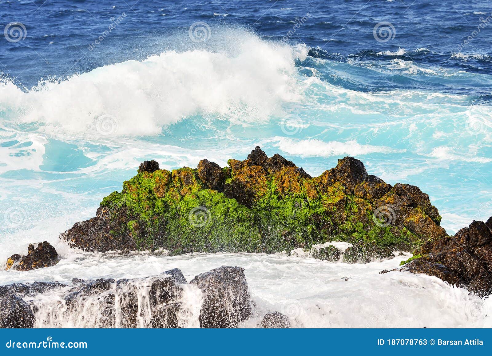 Waves Hitting the Sea Shore, Green Rocks Stock Image - Image of ...