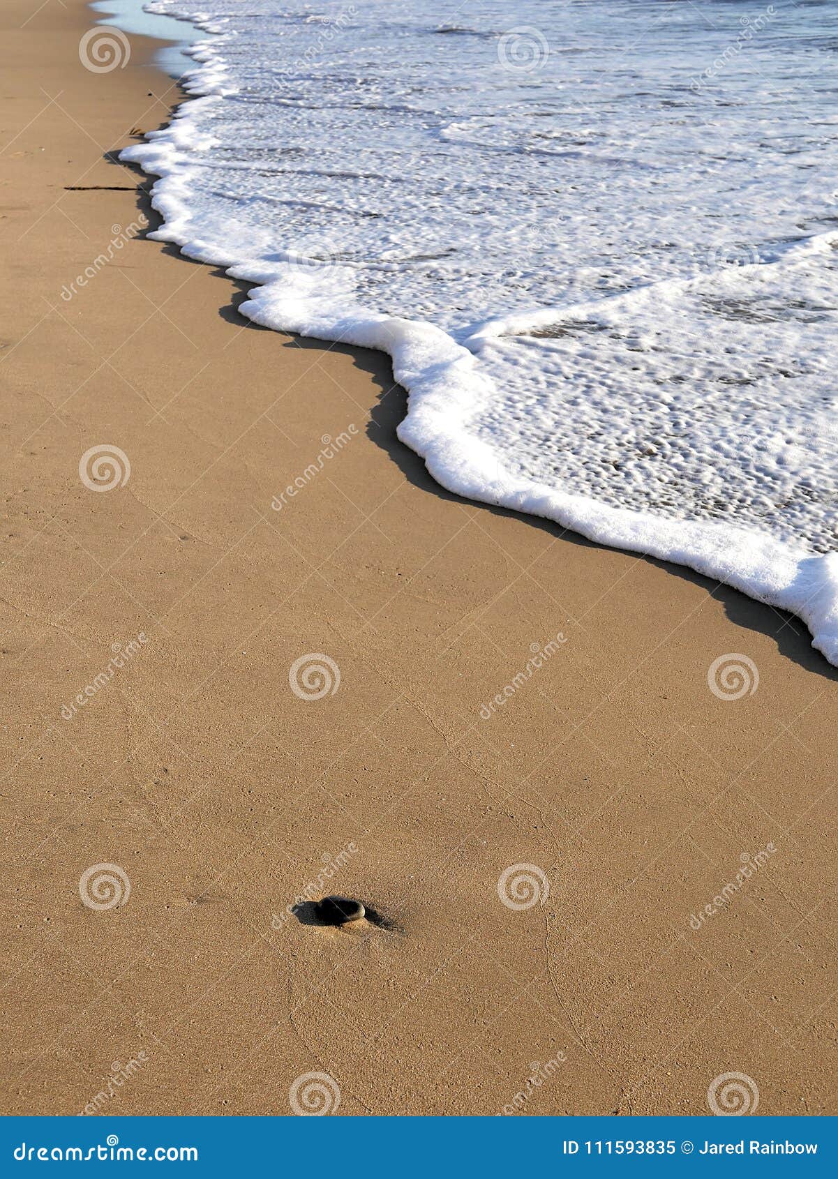 waves lapping against sand on the california coast. sea foam and sandy beaches in summer sunlight for travel blogs, website banner