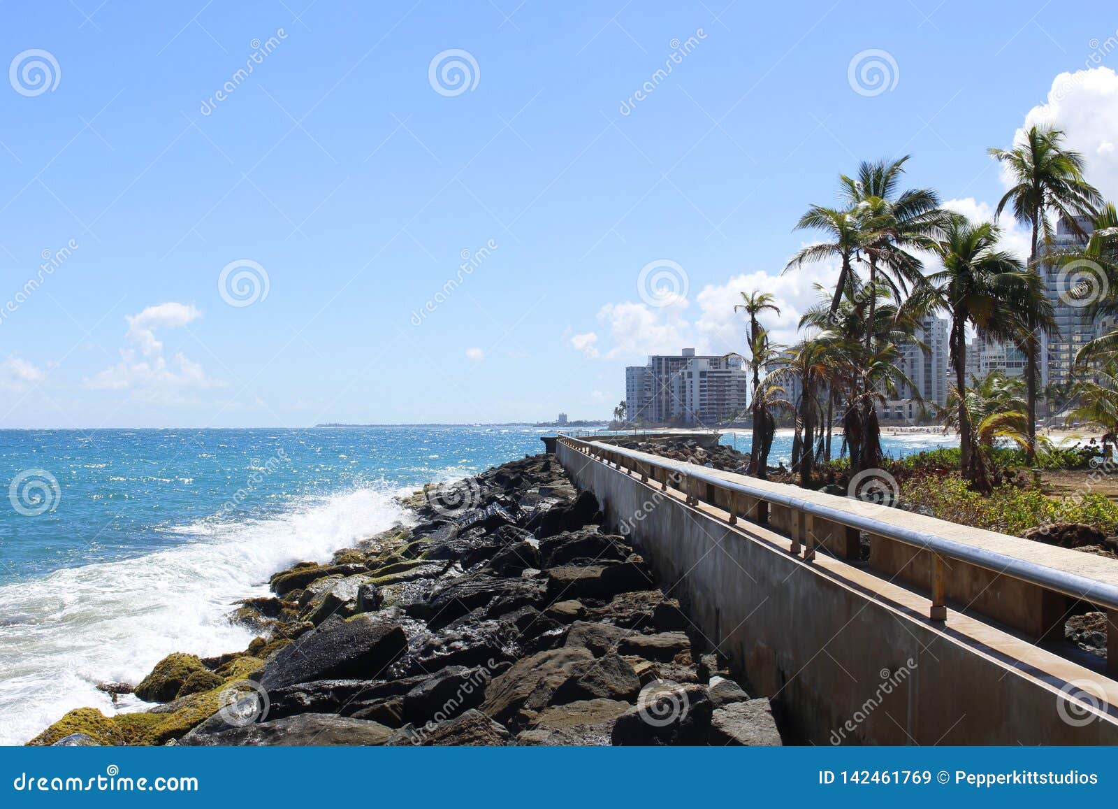 waves and palms - la ventana al mar park - condado, san juan, puerto rico