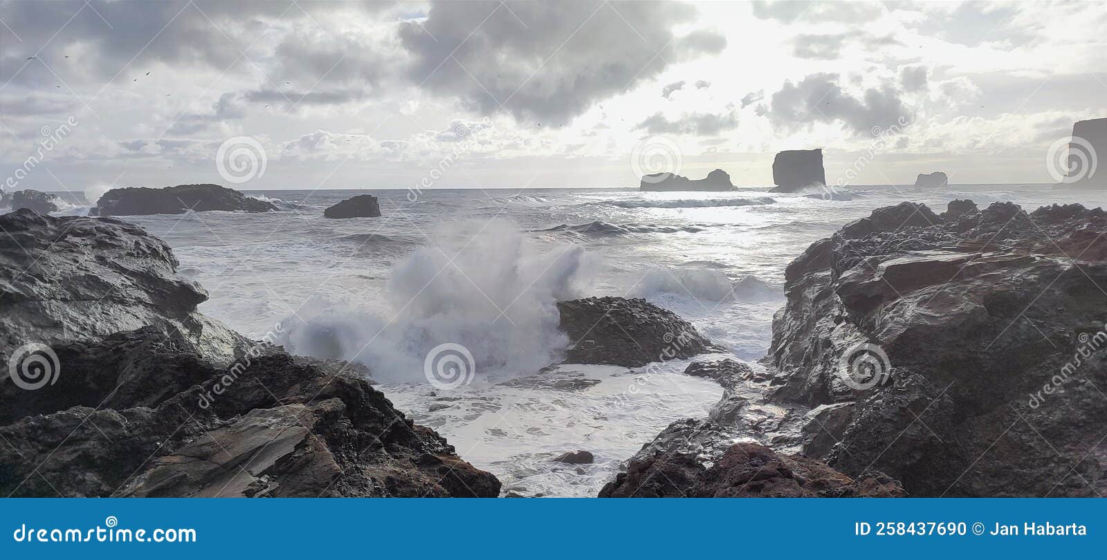 waves on the sea at the cliffs in dyrhÃÂ³laey, iceland