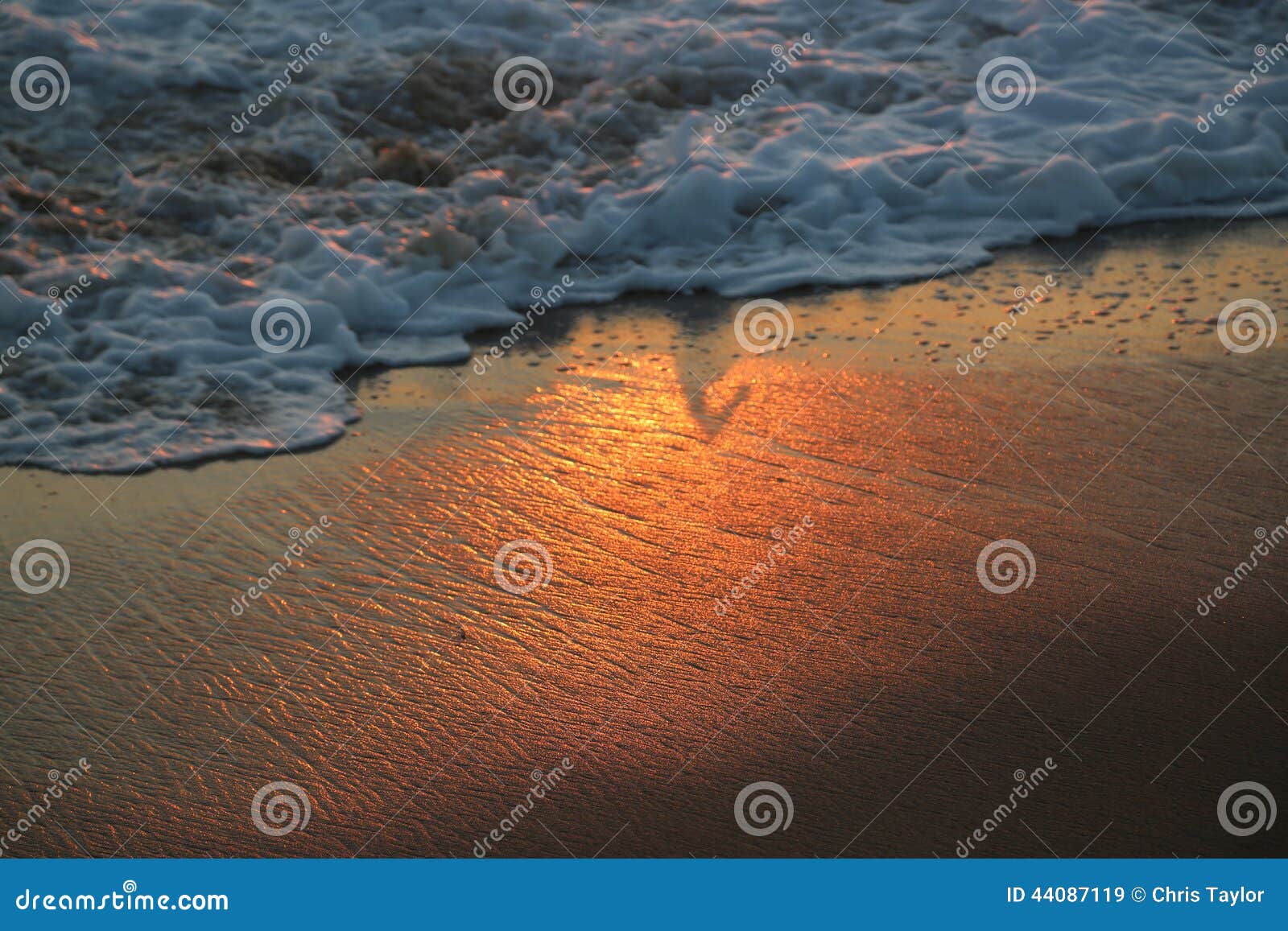 waves during sunset in hermosa beach