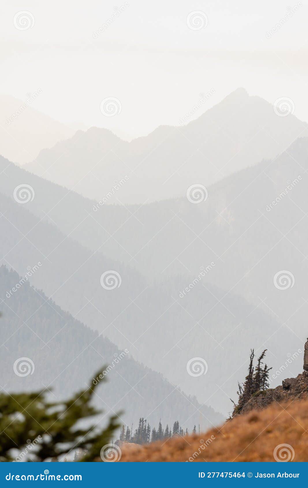 wavey ridge lines of varying mountain ranges are contrasted by the one in front creating depth and texture in olympic national