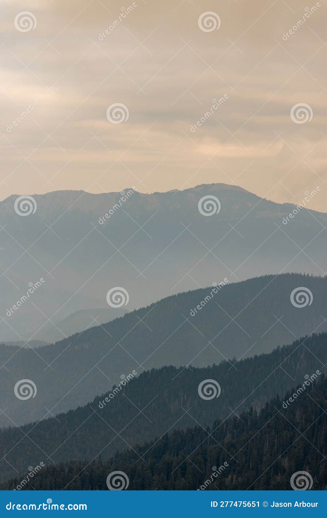 wavey ridge lines of varying mountain ranges are contrasted by the one in front creating depth and texture in olympic national