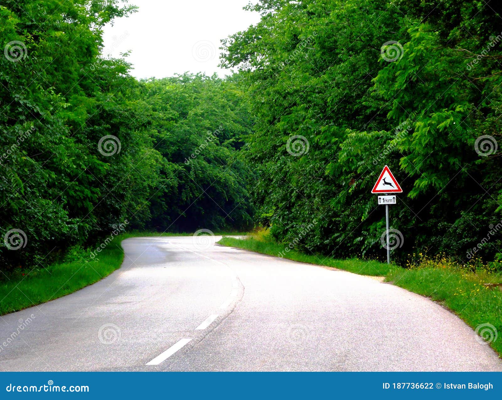 314 Green Road Divider Stock Photos - Free & Royalty-Free Stock Photos from  Dreamstime