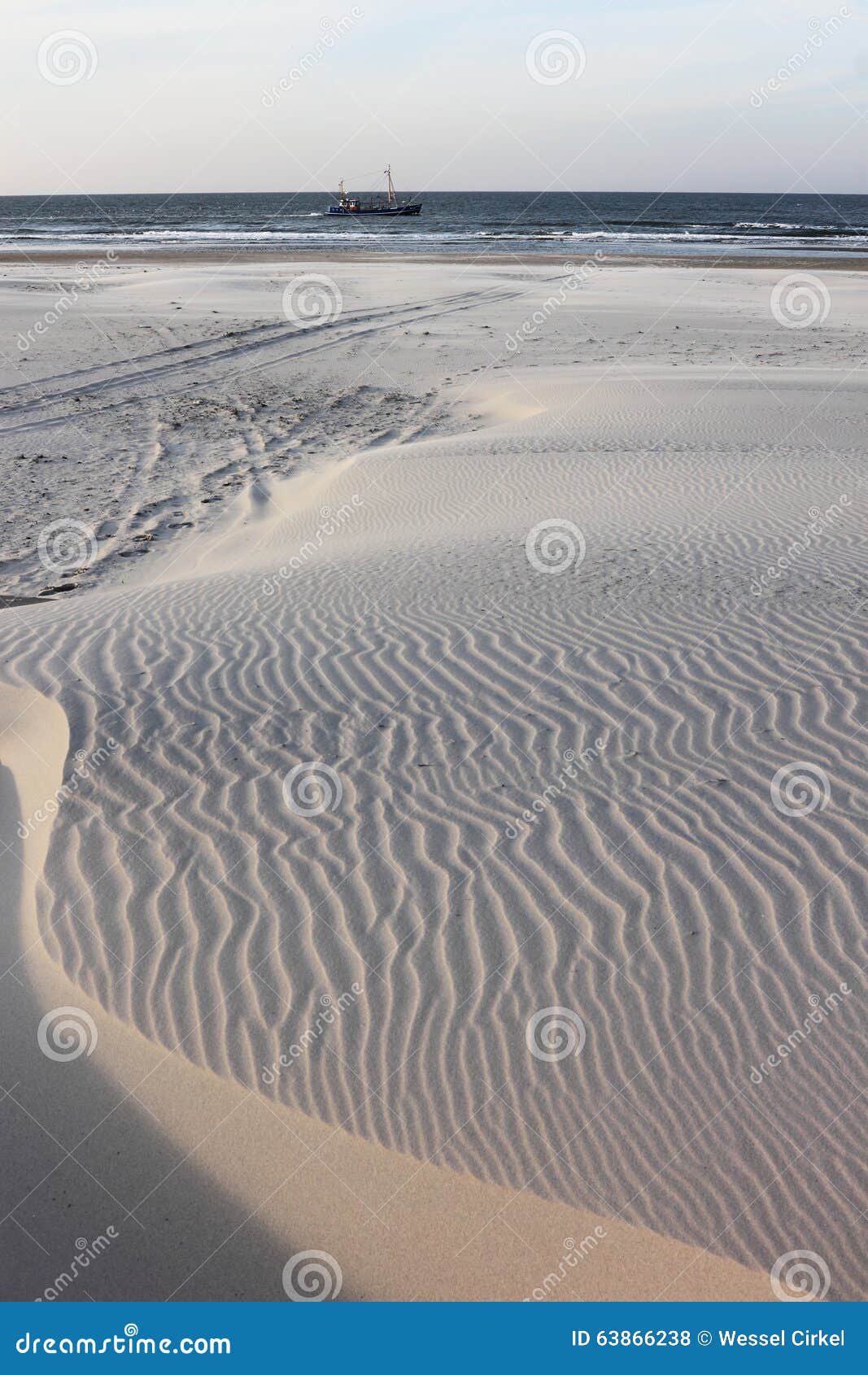 waving sand dunes at ameland beach, holland