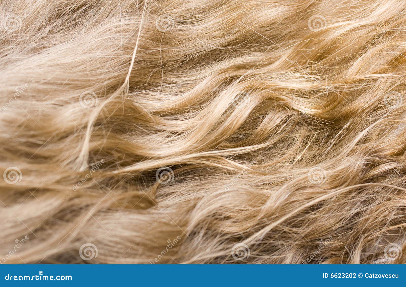 Blond Wavy Hair Girl - wide 9