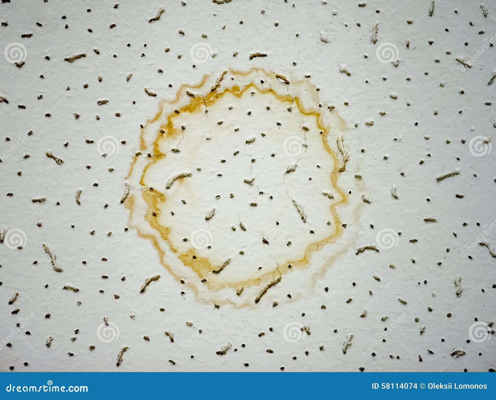 Wavy Circular Yellow Stain Stock Photo Image Of Ceiling