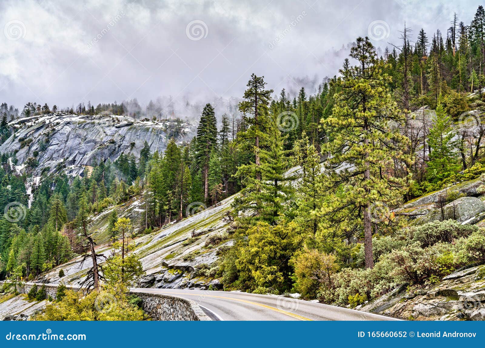 wawona road in yosemite national park, california