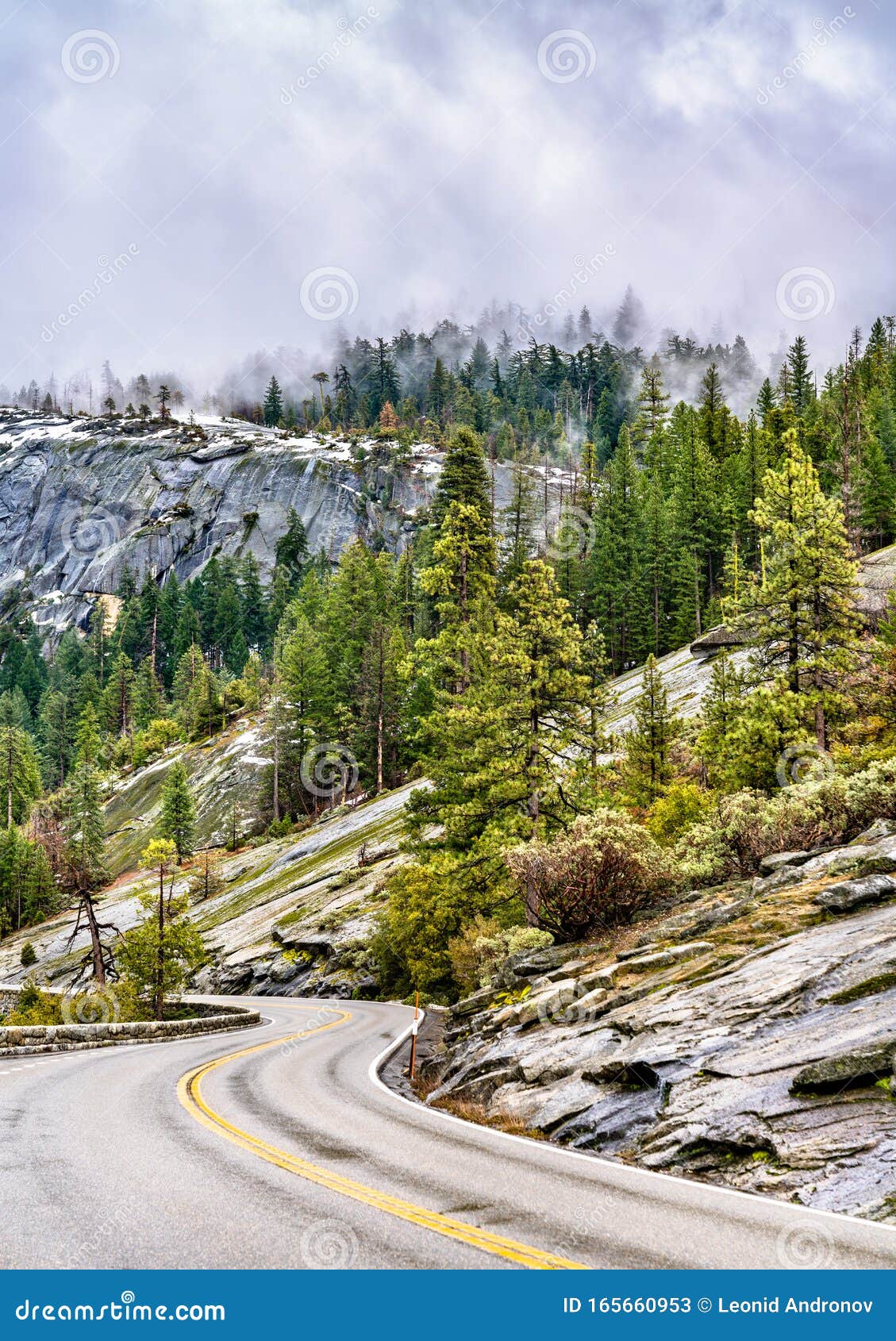 wawona road in yosemite national park, california