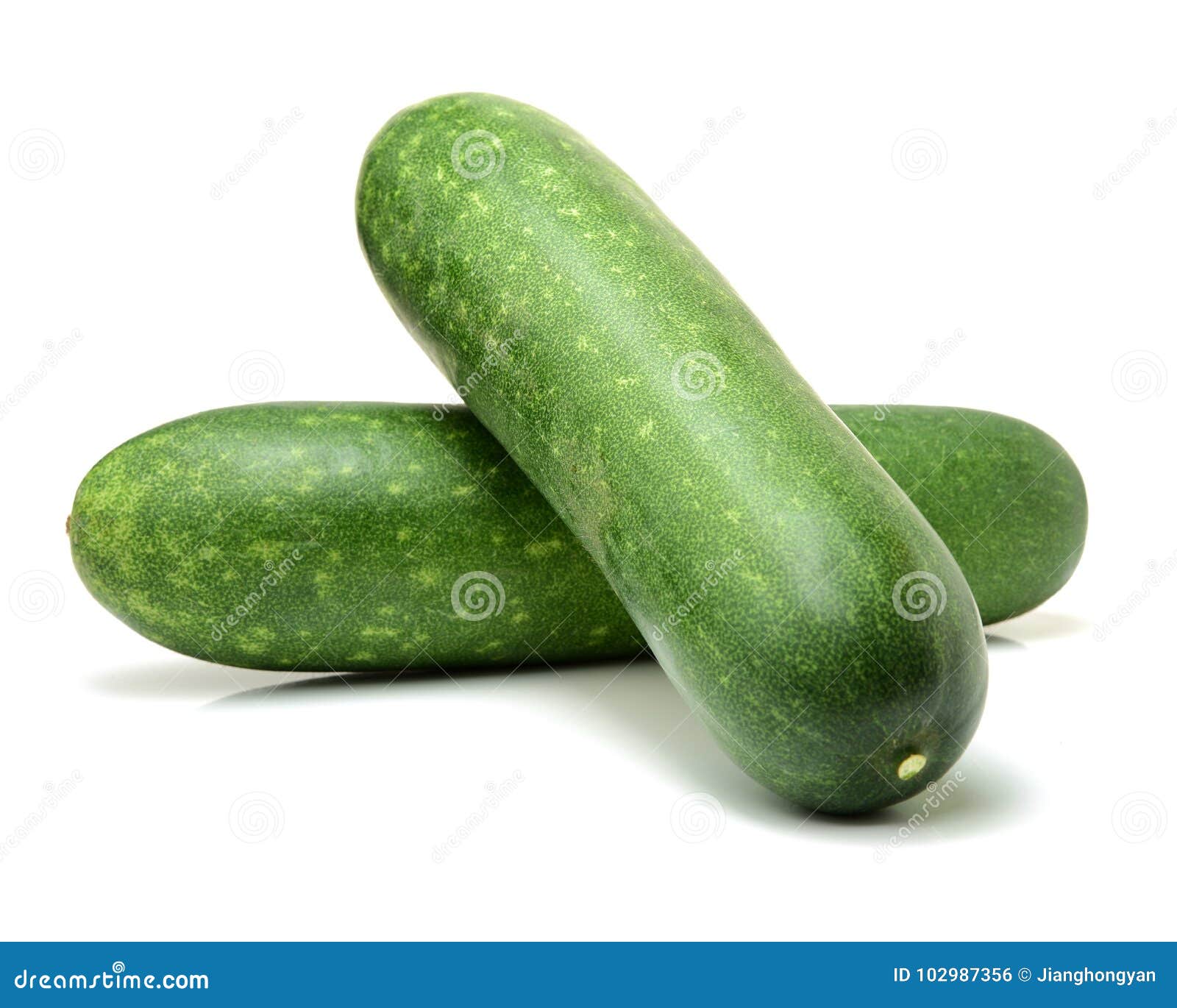 Wax gourd stock photo. Image of produce, nutrition, life 102987356