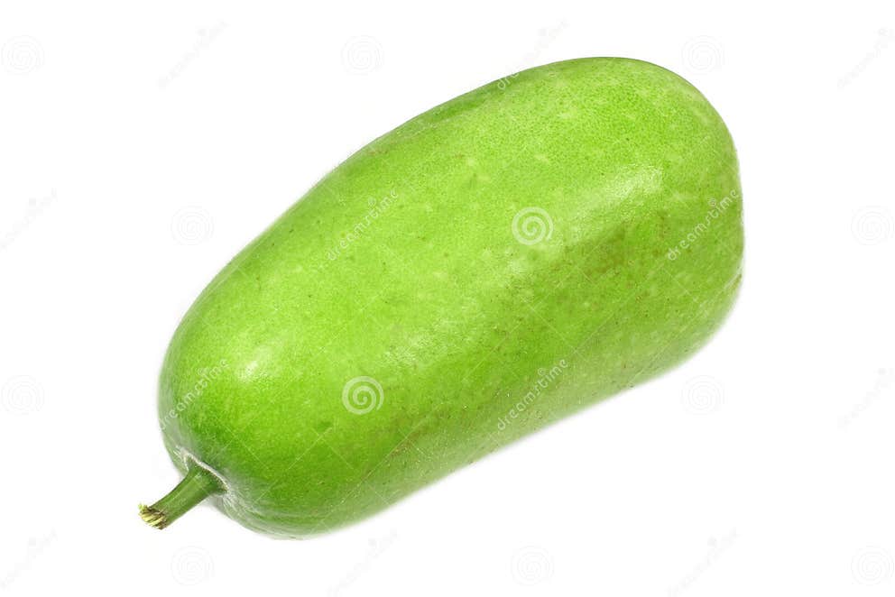 Wax gourd stock image. Image of homegrown, freshness 31724011