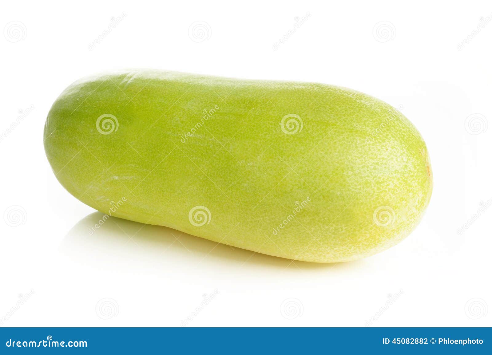 Wax gourd stock photo. Image of diet, squash, green, nutritious 45082882