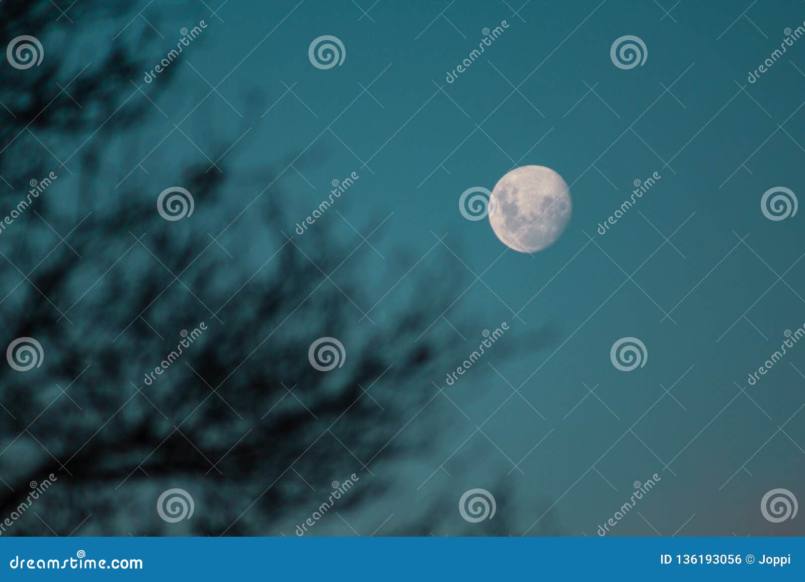 Waxing Moon on a Clear Night Sky in New Zealand Stock Photo - Image of ...