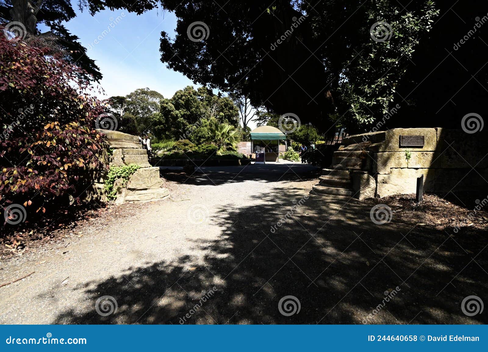 monastery stones in golden gate park, 5.