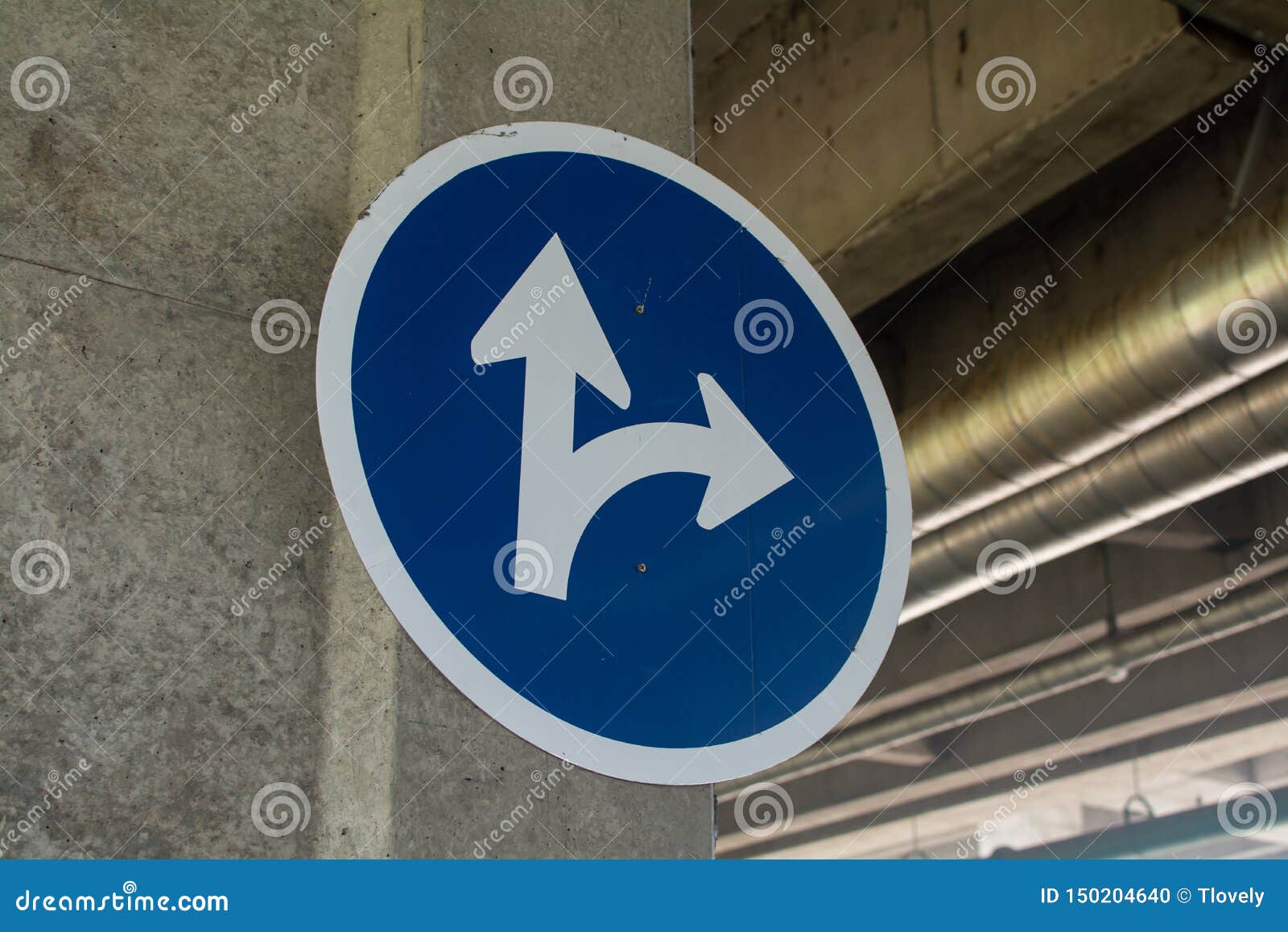 This Way Blue Road Traffic Signs Circle Stock Photo Image of signage, drawn 150204640