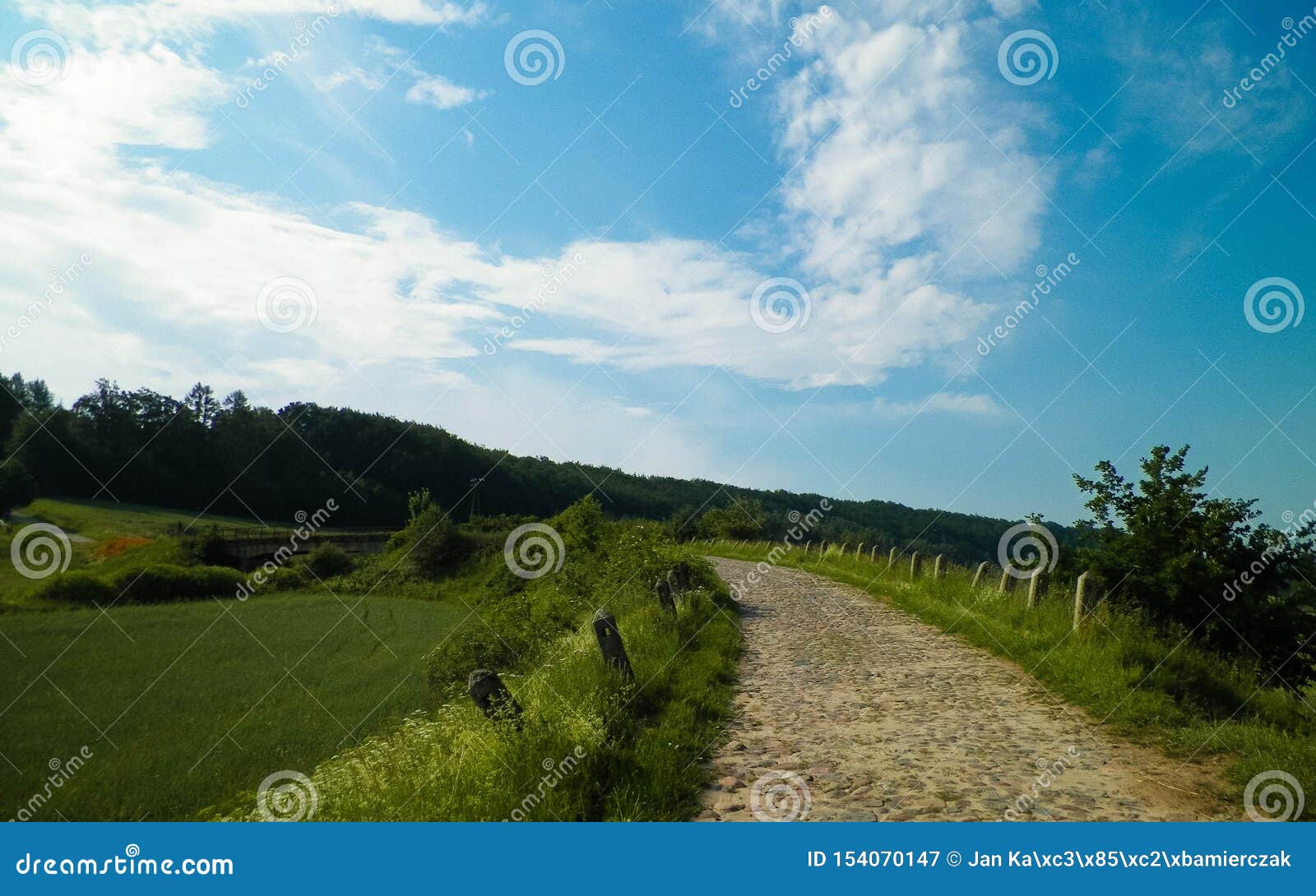 way through the fields in wieÃÂ¼yca, poland
