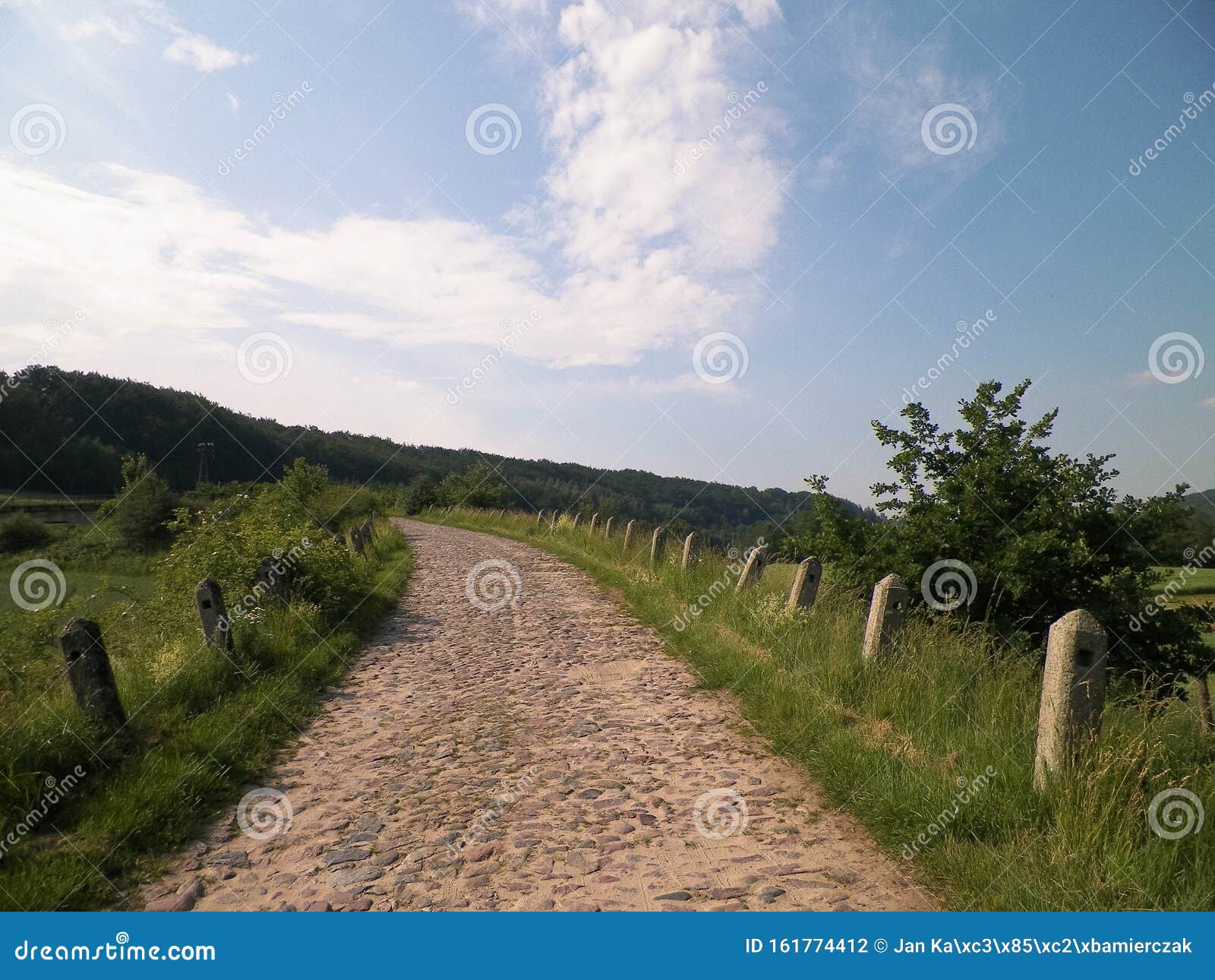 way through the fields in wieÃÂ¼yca, poland