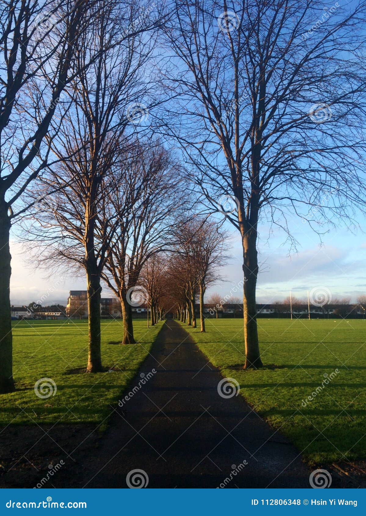 The Way Forward with Bare Trees in Dublin, Ireland. Stock Photo Image