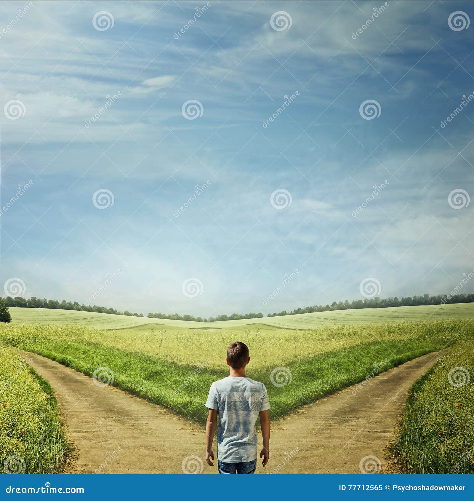 Way of life stock image. Image of crossroad, businessman 77712565