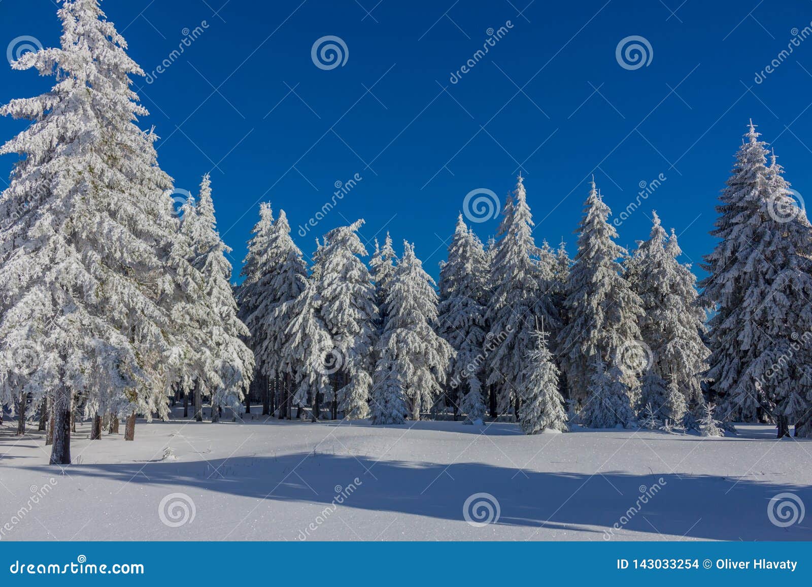 on the way through the thuringian forest