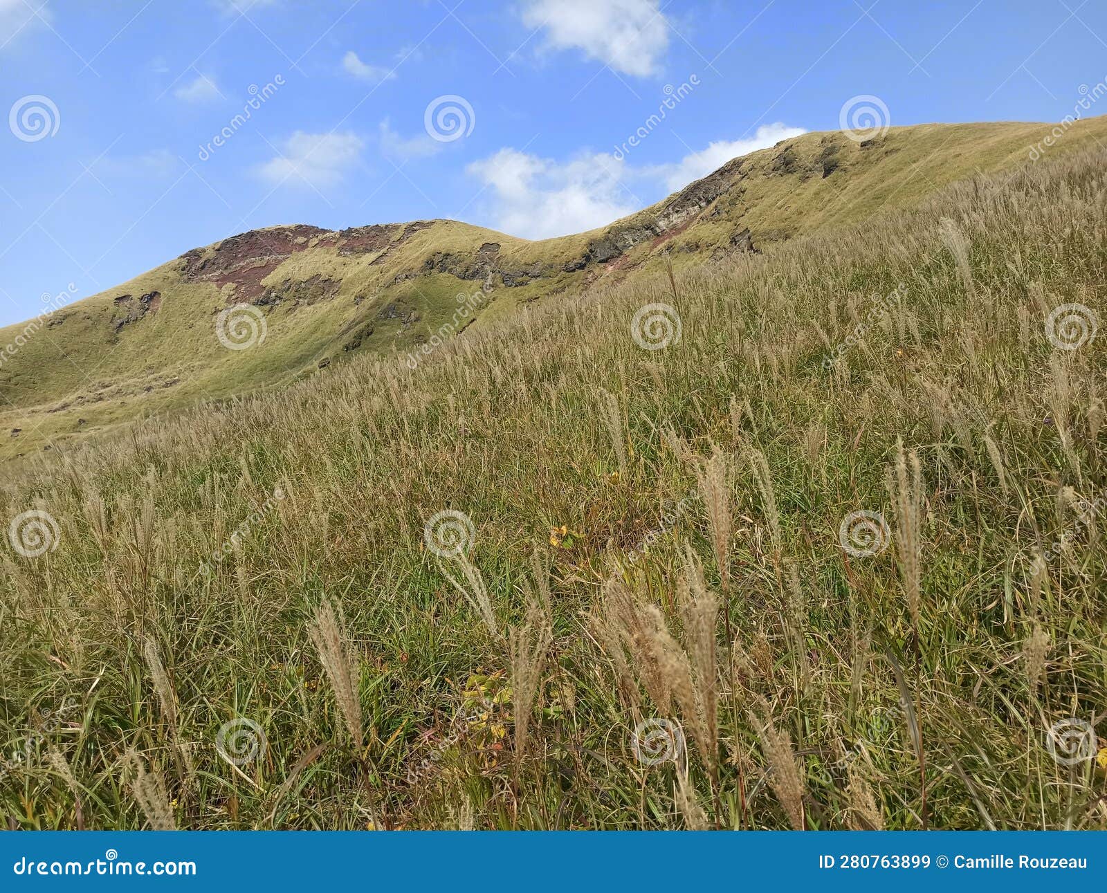 The Green Pasture in Aso, on the Way To Kishimadake Stock Image Image