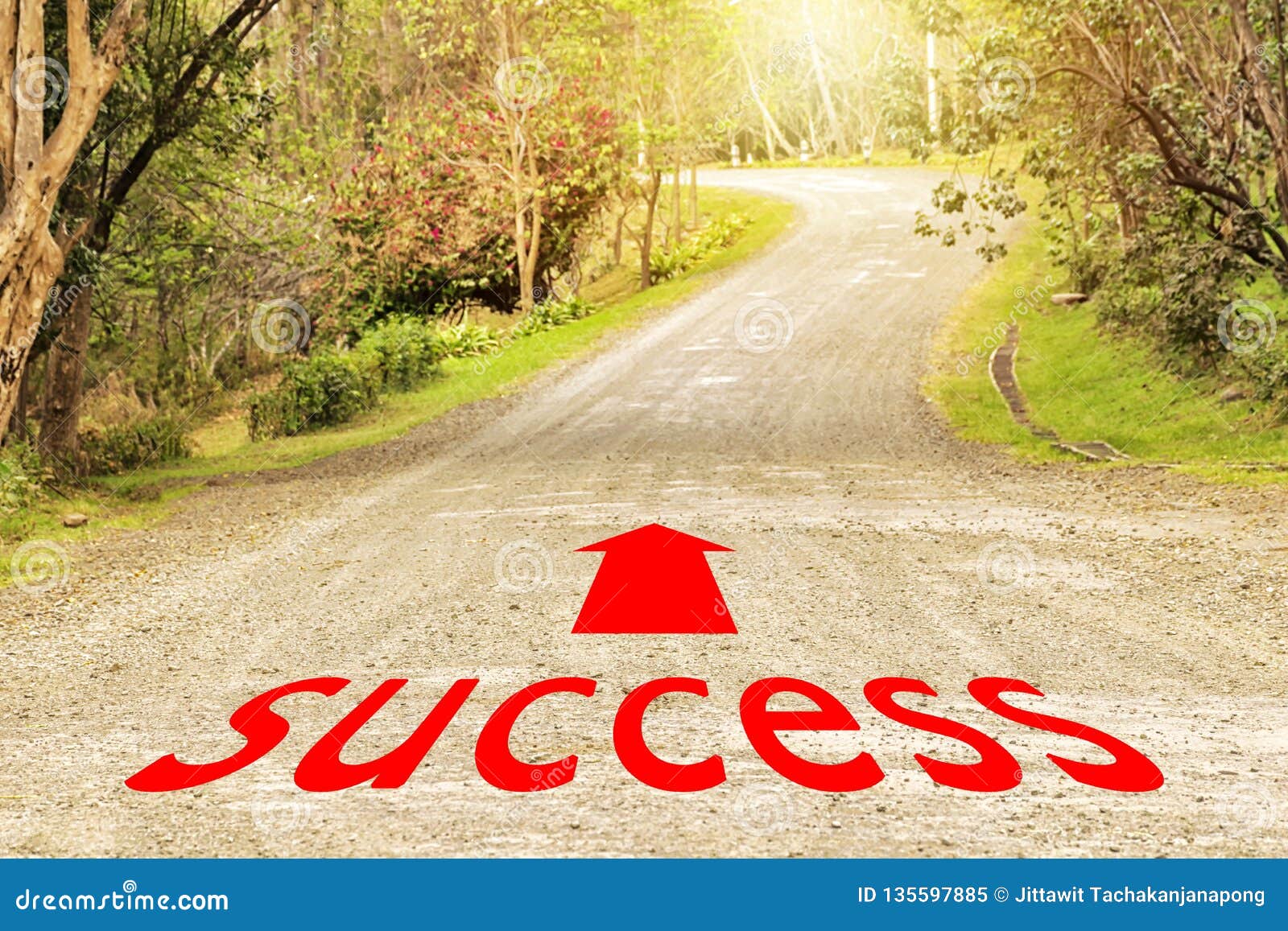 way to success way to success