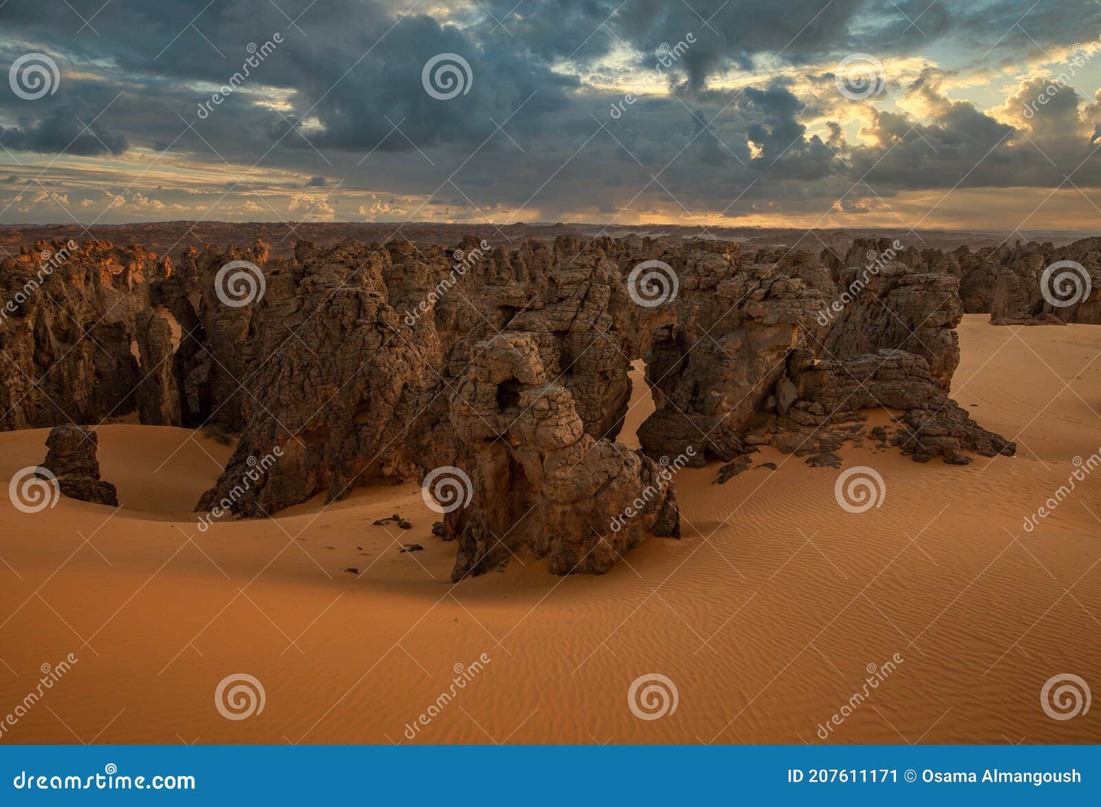 the way to the unknown golden sands of the libyan desert