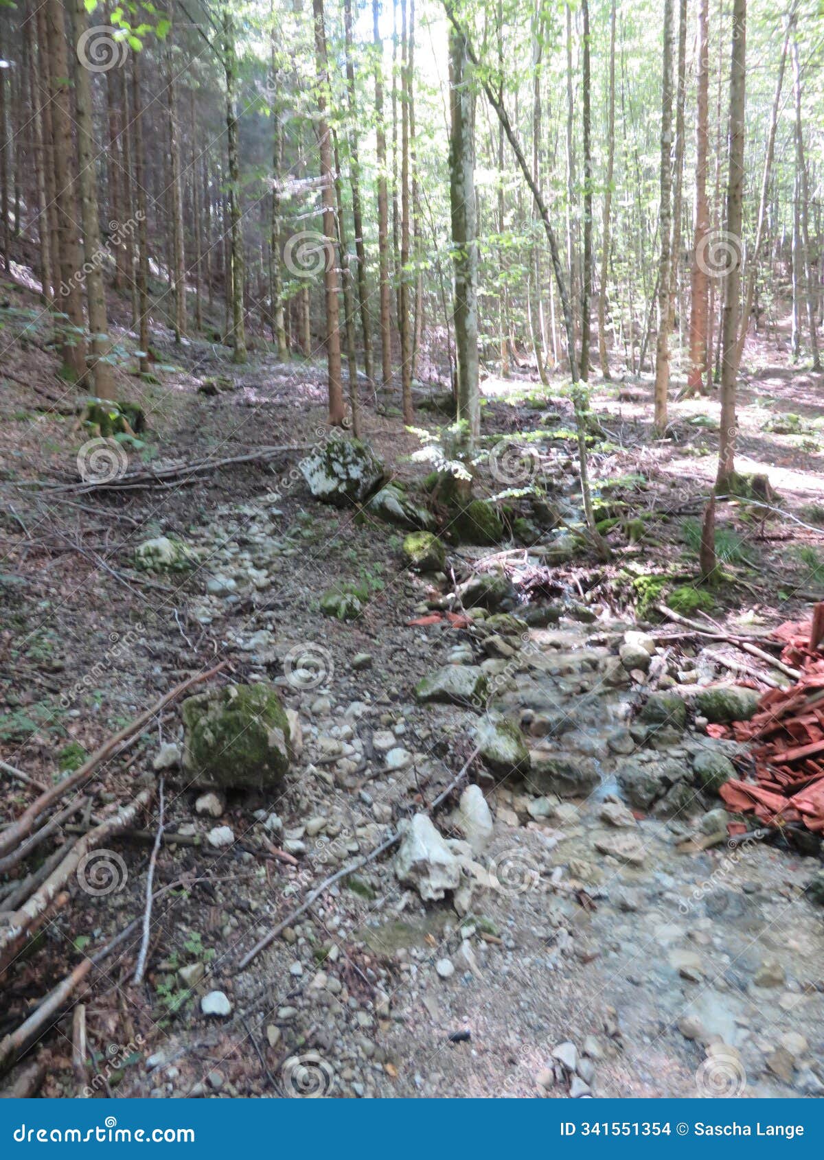 way up to the daffner alm