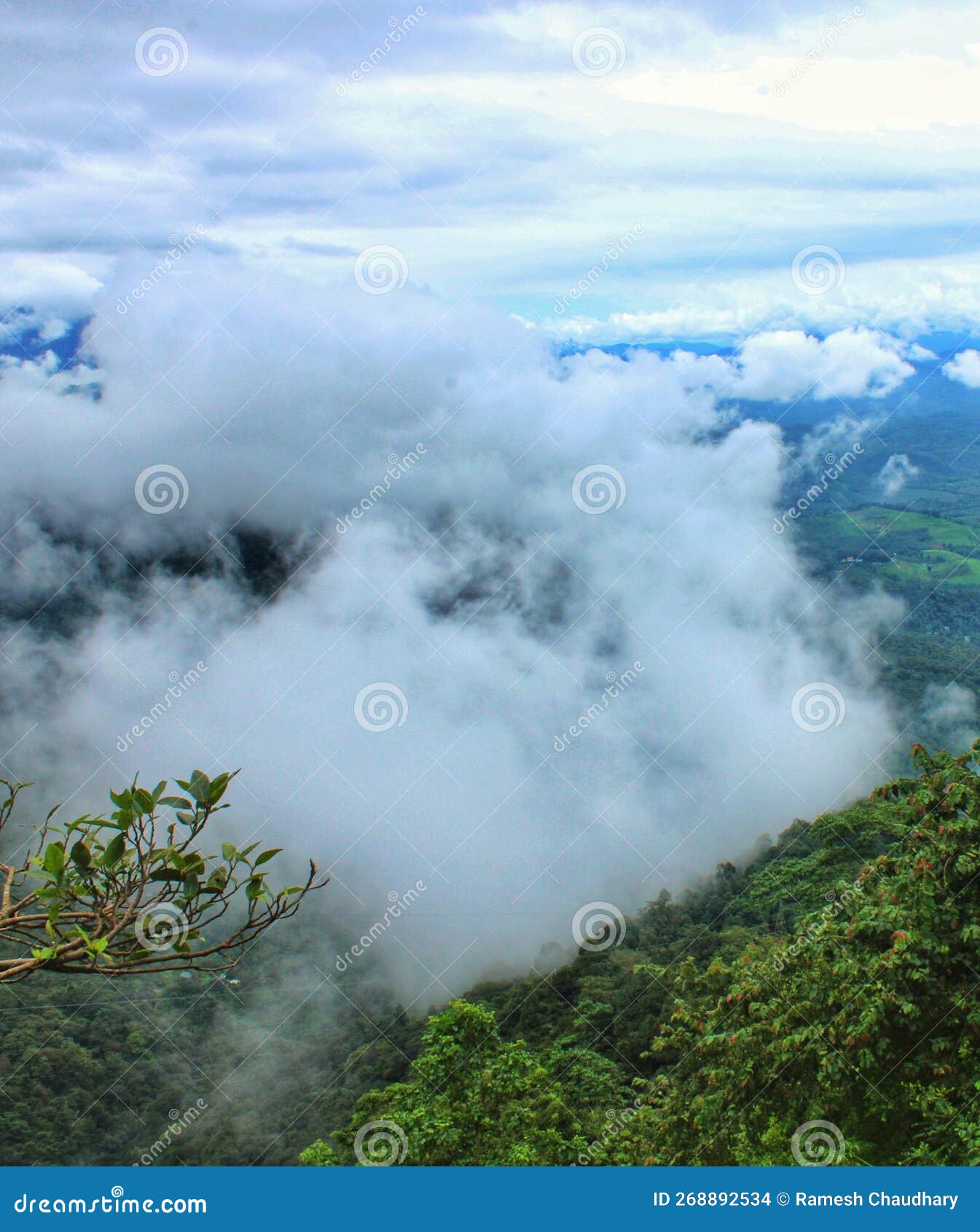 view point restaurant wayanad