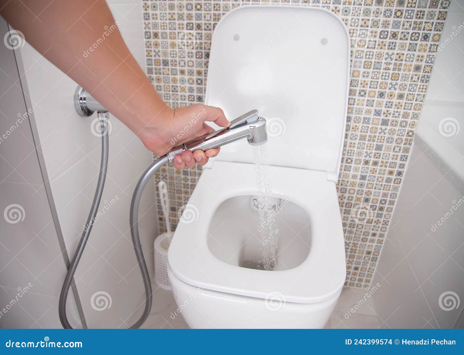 Wc Con Ducha Higiénica Para Lavar Los Genitales Externos. Una Mano Con Un  Cierre De Ducha Higiénico Foto de archivo - Imagen de rociador, concepto:  242399574