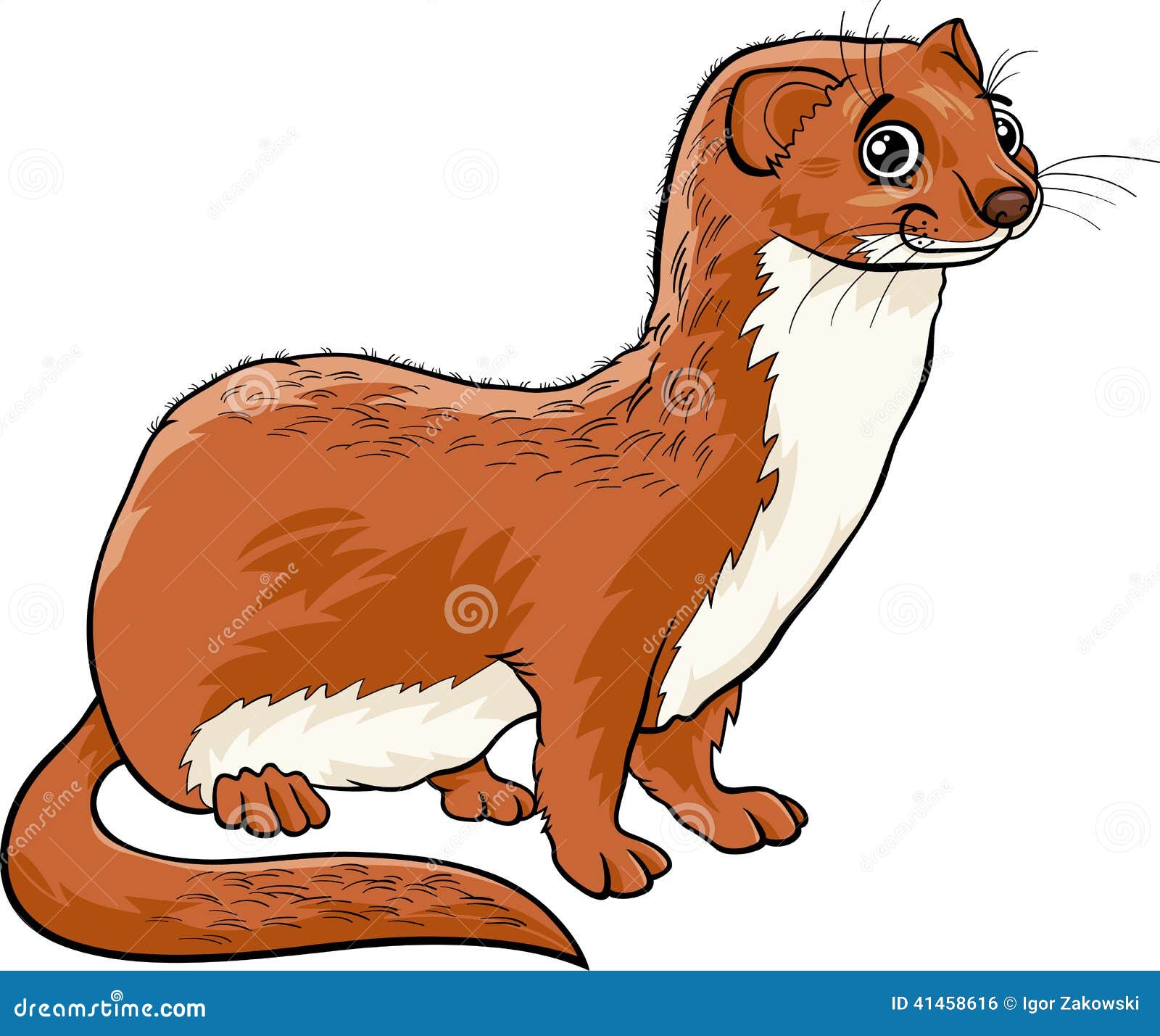 Weasel Animal Cartoon Illustration Stock Vector  Image: 41458616