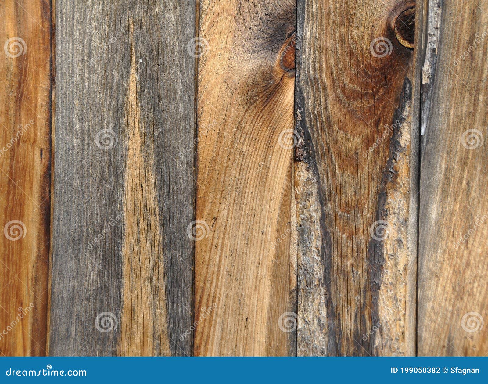 Weathered and Textured Wooden Panel Stock Photo Image of color