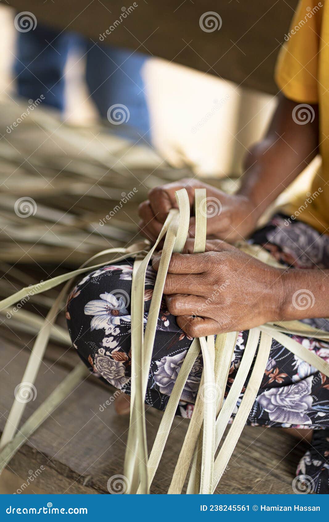 Weaving with Bur Rush Plant Leaves Stock Image Image of botany