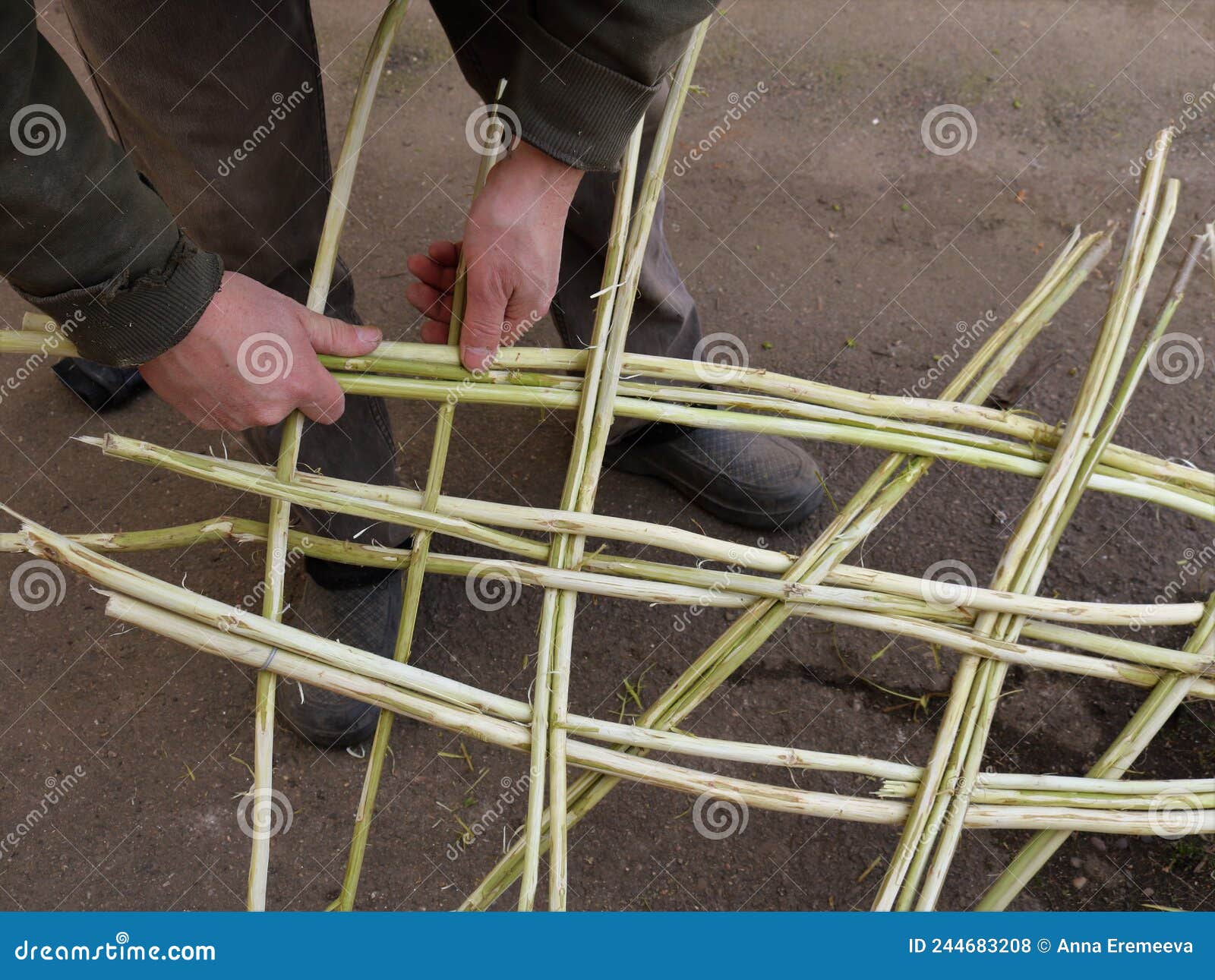 Weaving Constructions from Willow Branches Stock Photo Image of