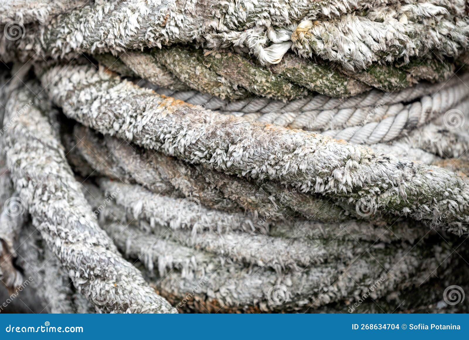 Weaving a Lot of Ropes Close Up Stock Photo Image of blue, insurance